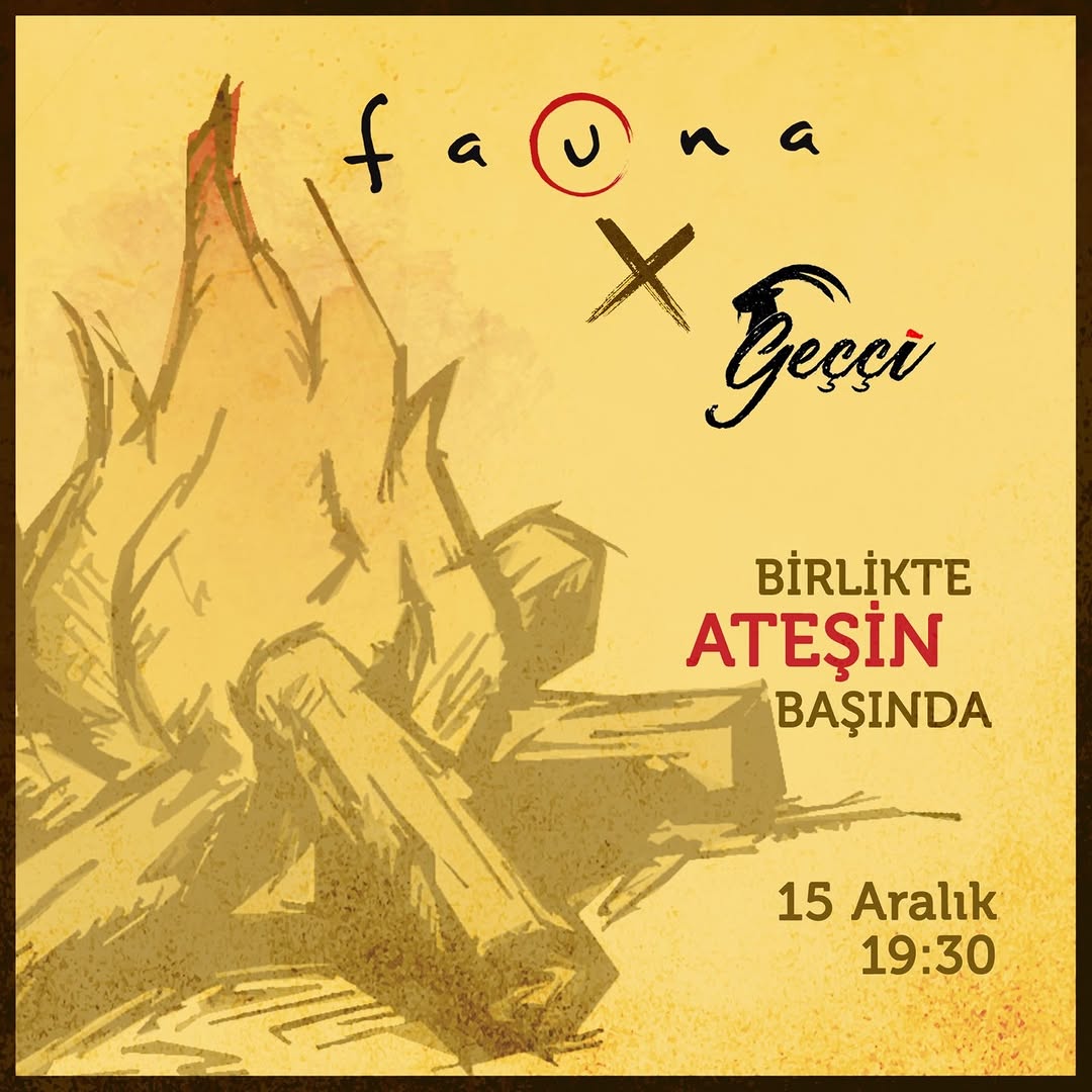 Fauna X Gecci 01